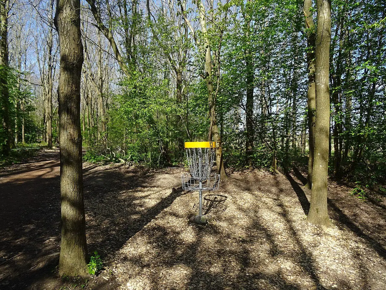 Discgolfkorf tussen de bomen in een bos